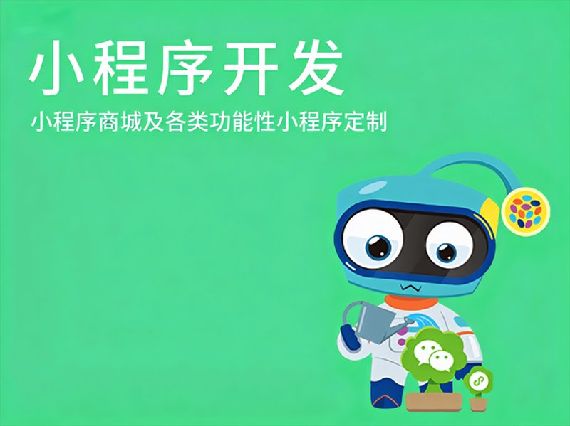商城网站开发